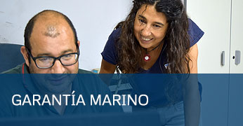 Garantía Taller Marino